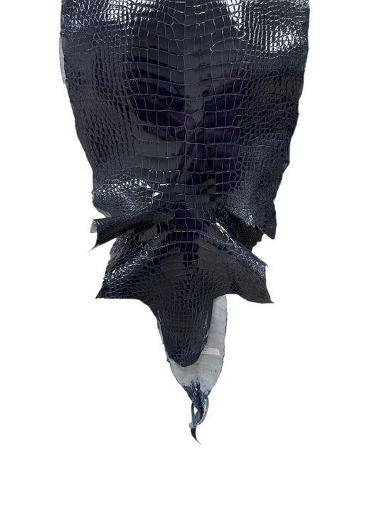 35 cm Grade 1/2 Navy Blue Glazed Wild American Alligator Leather - Tag: LA16-0016987