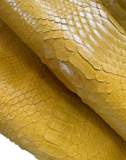 2.25 M Back Cut Canary Yellow Glazed Python