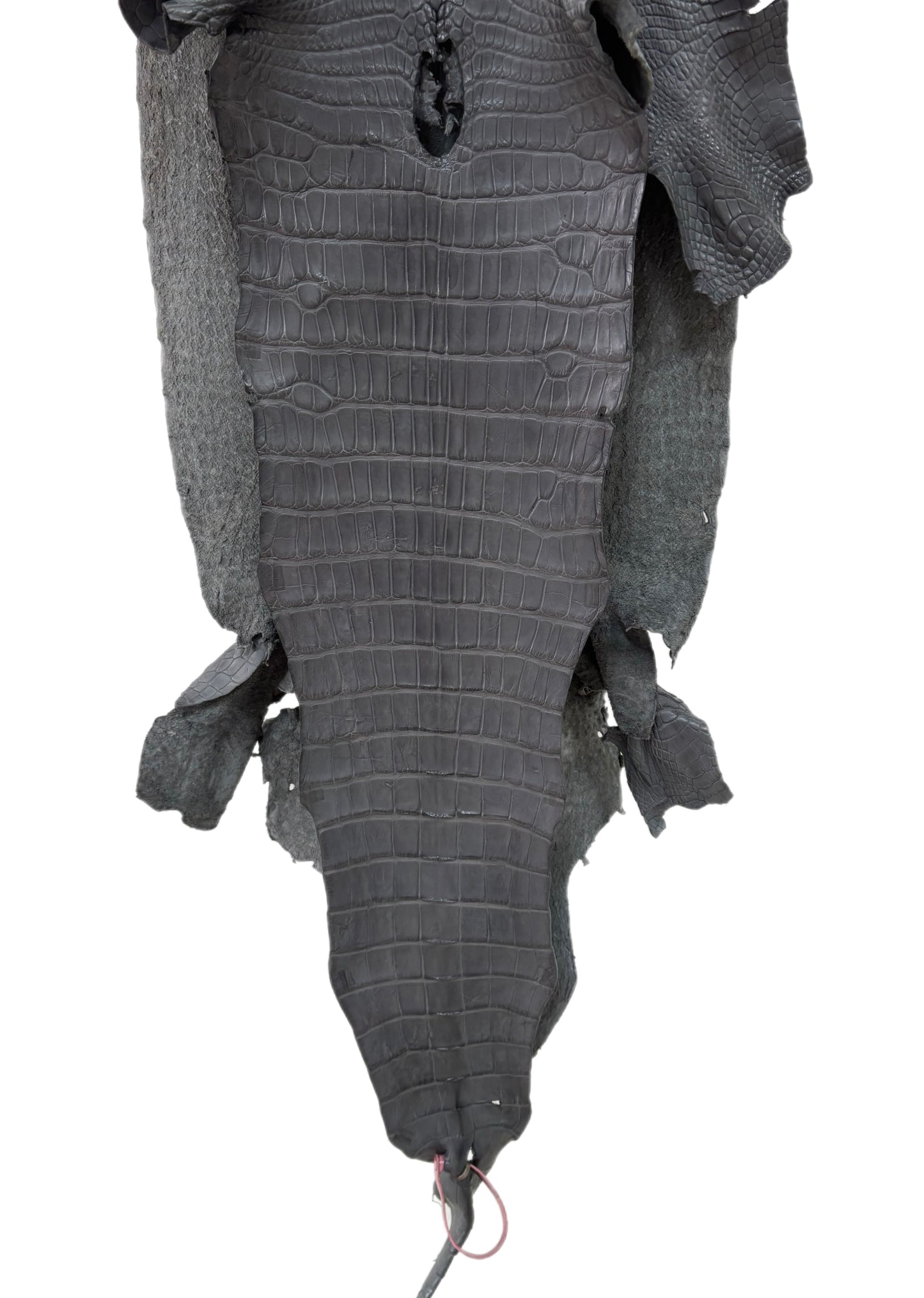 39 cm Grade 3/4 Serpentine Grey Matte Wild American Alligator Leather - Tag: LA24-0022433