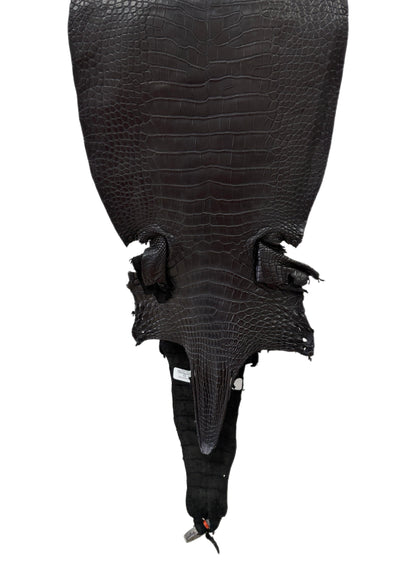 28 cm Grade 2/3 Black Matte Farm-Raised American Alligator Leather - Tag: LA23-0531064