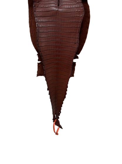 25 cm Grade 2/3 Italian Gold Matte Farm-Raised American Alligator Leather - Tag: FL21-0025067