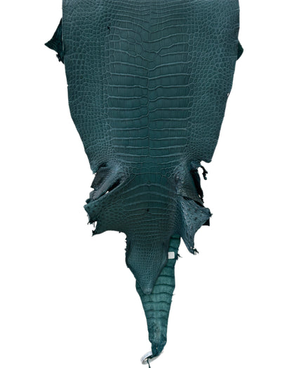 38 cm Grade 2/3 Teal Matte Wild American Alligator Leather - Tag: LA23-0051980