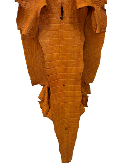 44 cm Grade 3/4 Buttercup Matte Wild American Alligator Leather - Tag: LA23-0030717