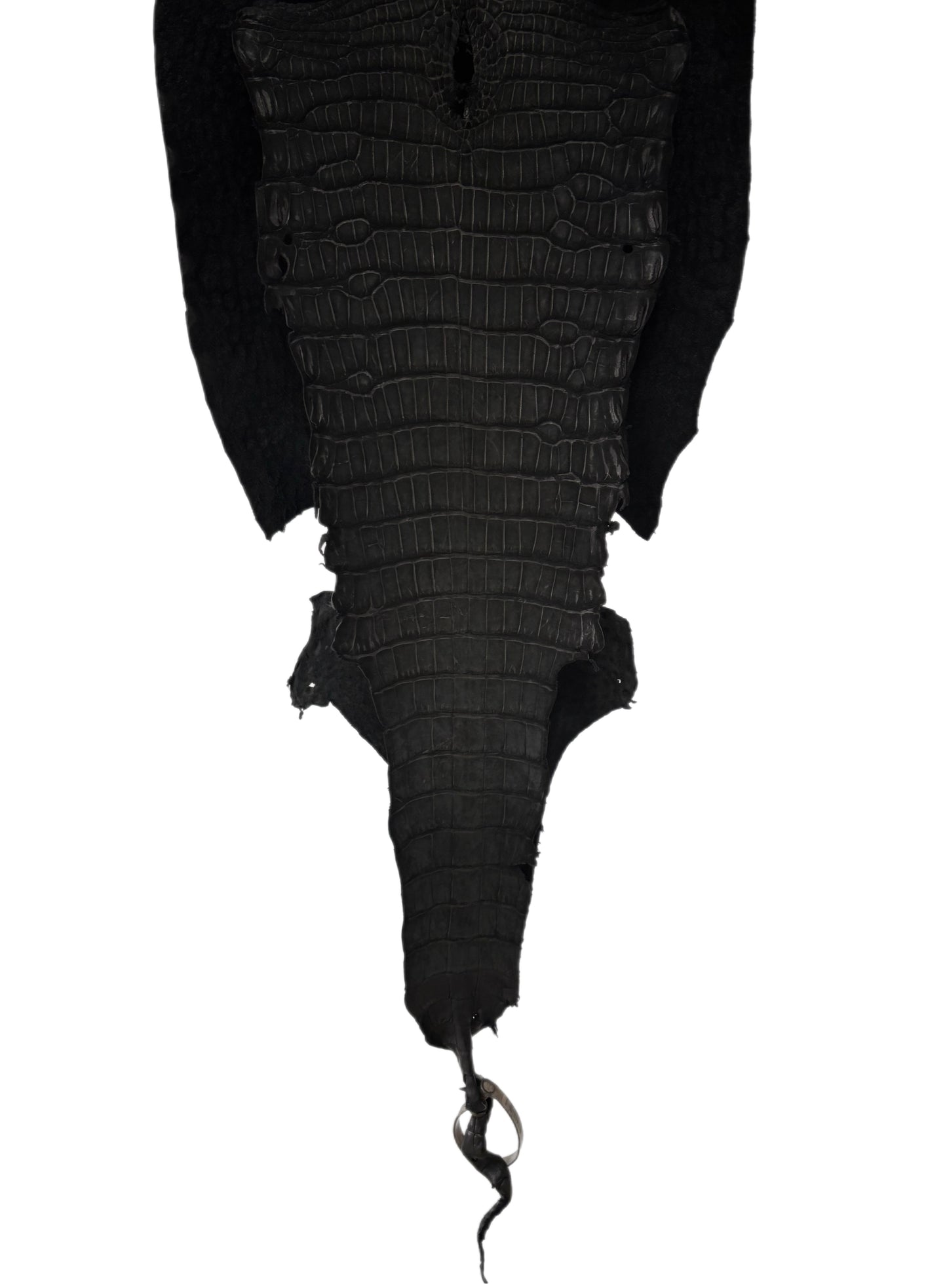 34 cm Grade 3/4 Black Nubuck Wild American Alligator Leather - Tag: LA23-0002154