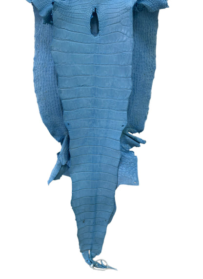45 cm Grade 3/4 Sky Blue Matte Wild American Alligator Leather - Tag: LA23-0030708