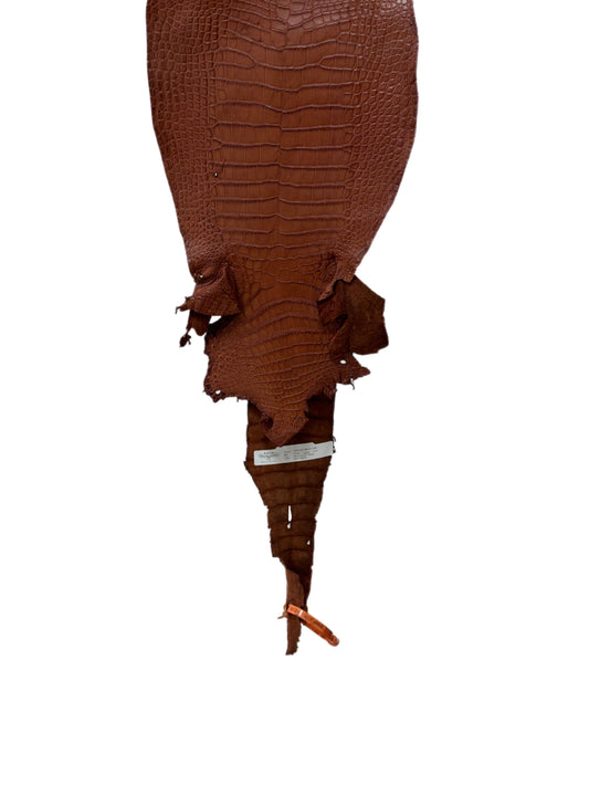27 cm Grade 3/4 Rustic Cognac Desert Wild American Alligator Leather - Tag: MS24-0000556