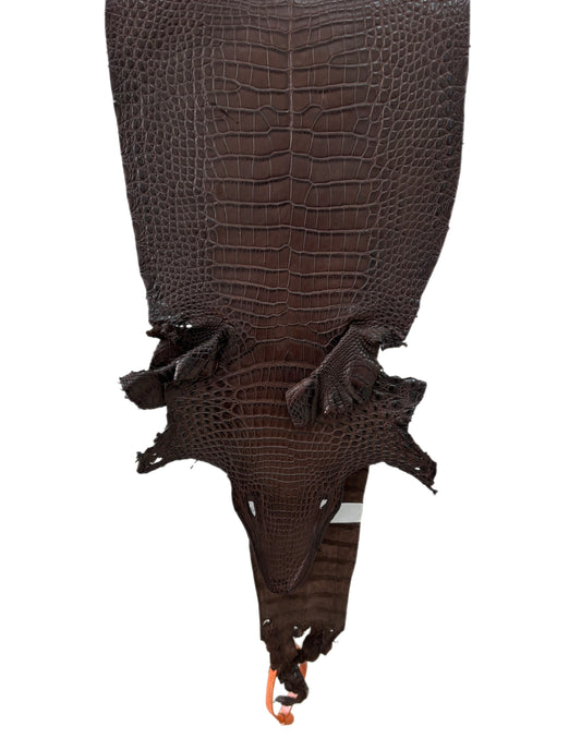 22 cm Grade 4/5 Chocolate Matte Farm Raised American Alligator Leather - Tag: FL21-0024455