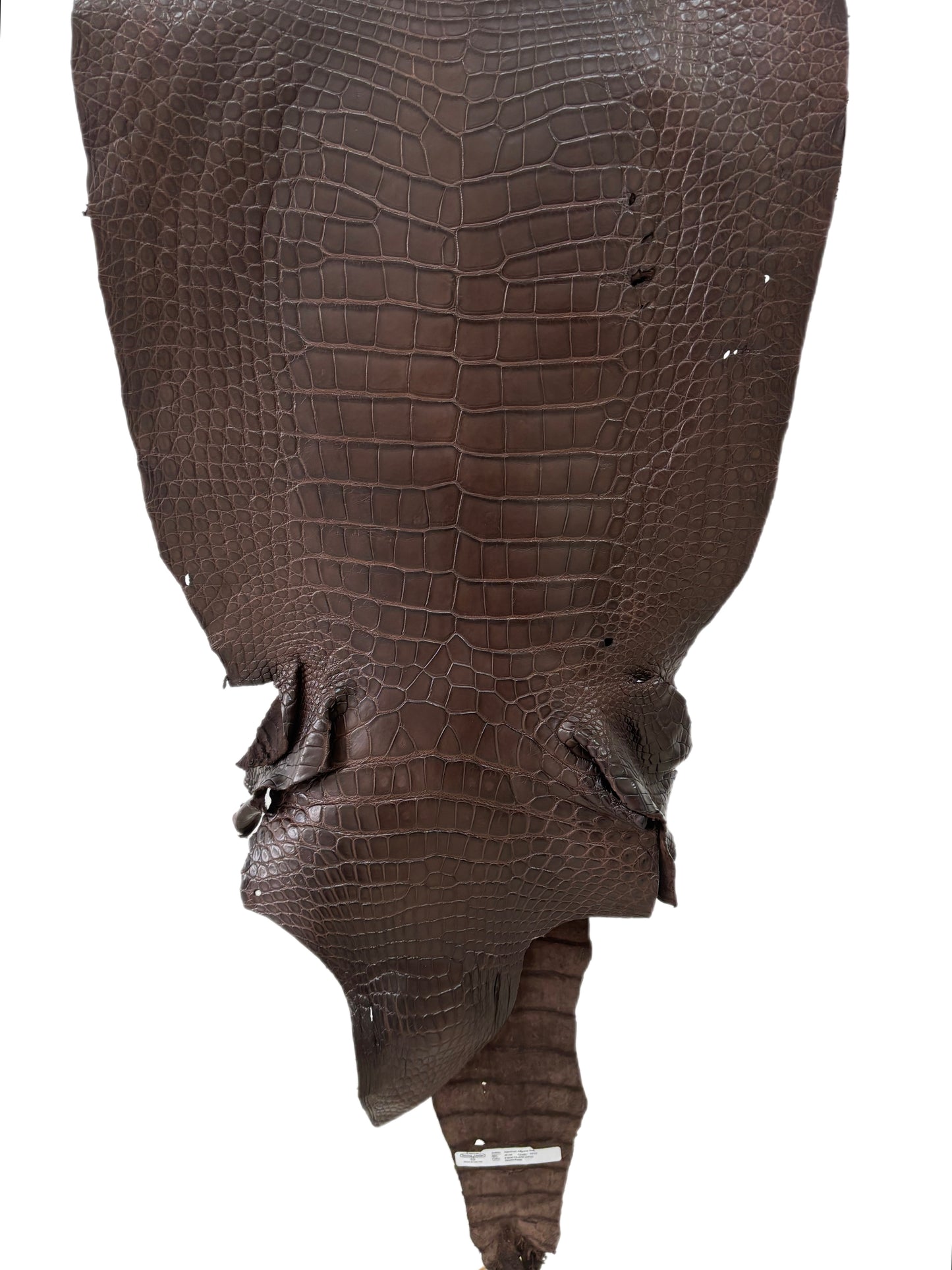49 cm Grade 3/4 Chocolate Matte Wild American Alligator Leather - Tag: LA23-0048120