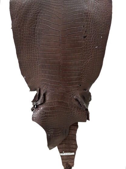 49 cm Grade 3/4 Chocolate Matte Wild American Alligator Leather - Tag: LA23-0048120