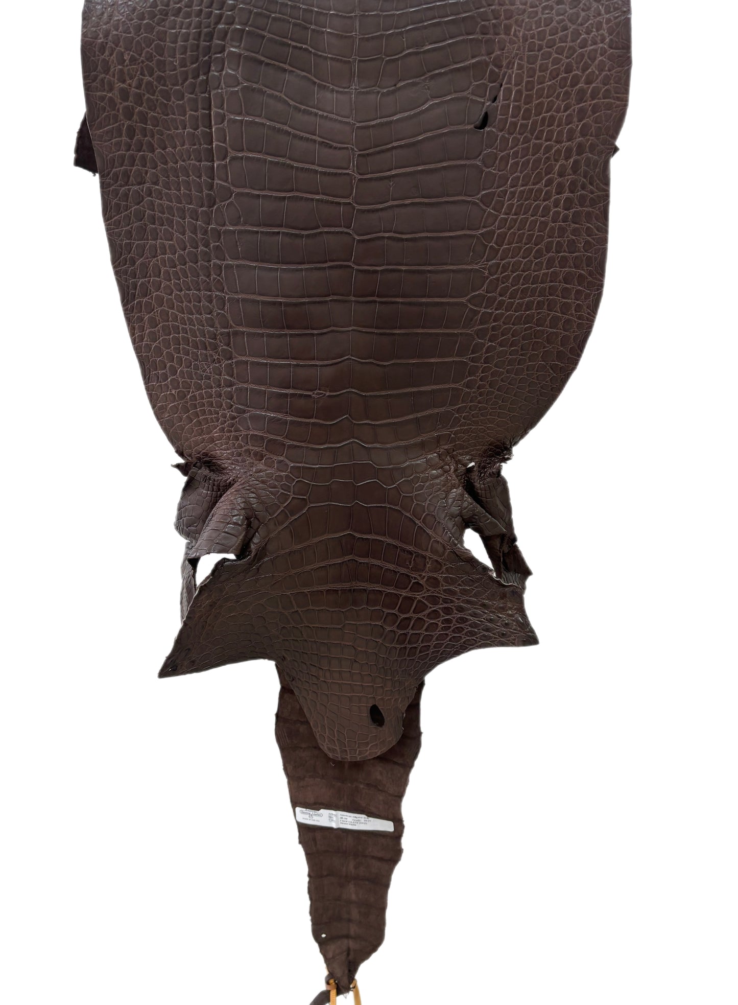 38 cm Grade 3/4 Chocolate Matte Wild American Alligator Leather - Tag: LA23-0027725