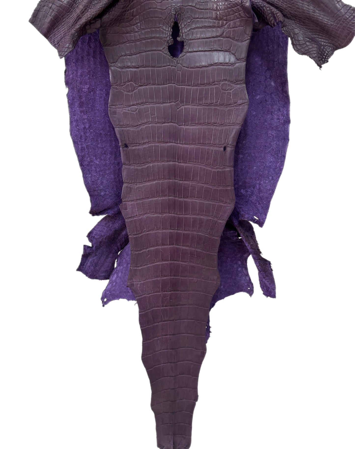 38 cm Grade 2/3 Aubergine Matte Wild American Alligator Leather - Tag: LA23-0033904