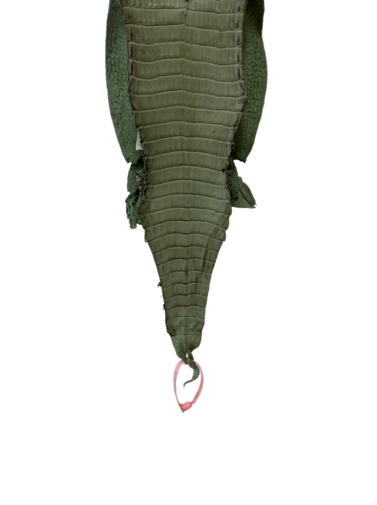 New Color! 21 cm Grade 1/2 Sage Green Matte Farm-Raised American Alligator Leather - Tag: LA24-0228919