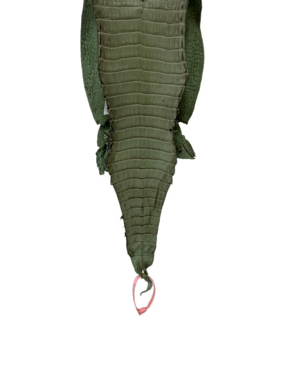 New Color! 21 cm Grade 1/2 Sage Green Matte Farm-Raised American Alligator Leather - Tag: LA24-0228919