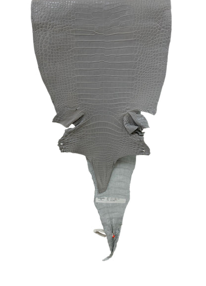 33 cm Grade 2/3 Glacier Matte Farm-Raised American Alligator Leather - Tag: LA23-0531265