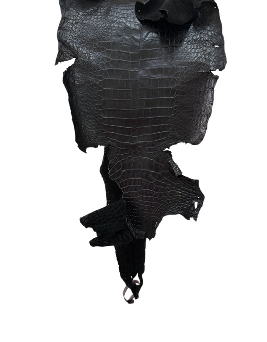 23 cm Grade 3/4 Black Matte (Stiff Finish) Farm-Raised American Alligator Leather - Tag: FL21-0024920