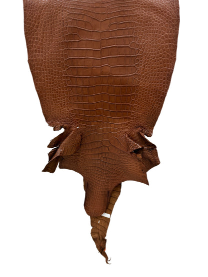 47 cm Grade 2/3  Cigar Matte Wild American Alligator Leather - Tag: LA24-0022426