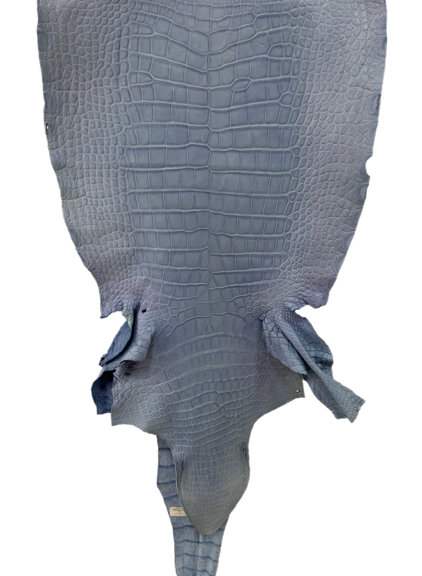 43 cm Grade 3/4 Carolina Blue Matte Wild American Alligator Leather - Tag: LA23-0027018