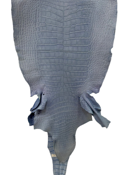 43 cm Grade 3/4 Carolina Blue Matte Wild American Alligator Leather - Tag: LA23-0027018