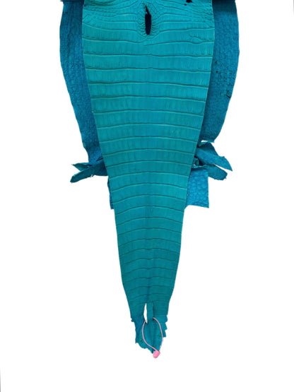 31 cm Grade 3/4 Turquoise Matte Farm-Raised American Alligator Leather - Tag: FL21-0024439