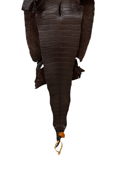 28 cm Grade 1/2 Chocolate Matte Wild American Alligator Leather - Tag: FL15-0057058