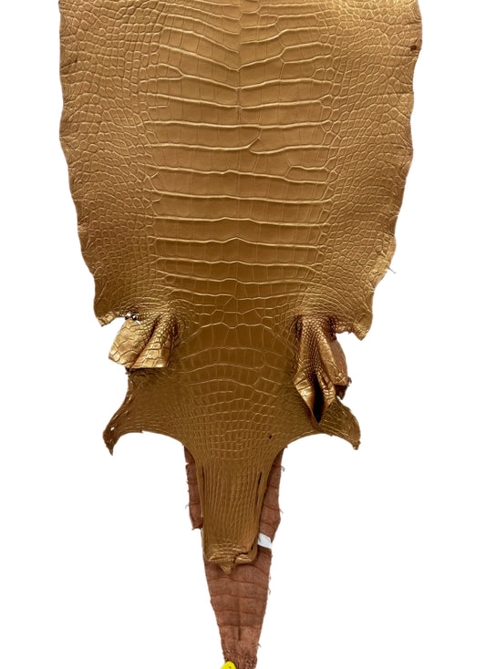 34 cm Grade 2/3 Champagne Metallic Matte Wild American Alligator Leather - Tag: LA17-0036618