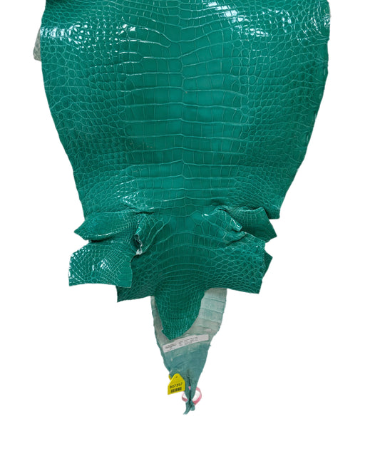 40 cm Grade 3/4 Tiffany Blue Glazed Farm Raised American Alligator Leather - Tag: FL14-0003686