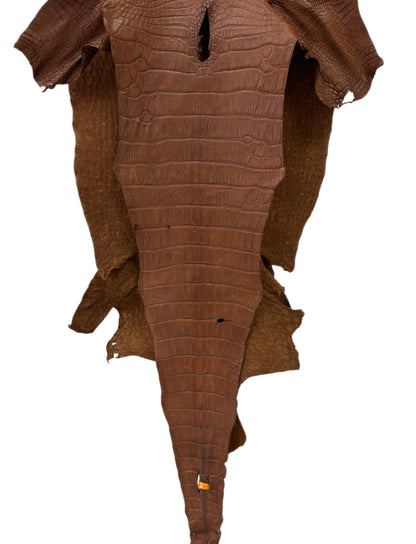 40 cm Grade 4/5 Cigar Matte Wild American Alligator Leather - Tag: LA22-0020926