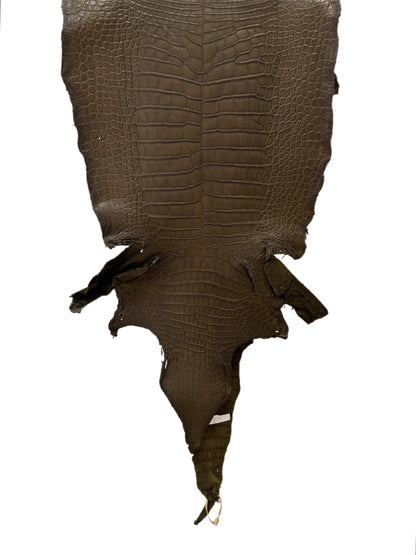 45 cm Grade 3/4 Olive Matte Wild American Alligator Leather - Tag: LA23-0017368