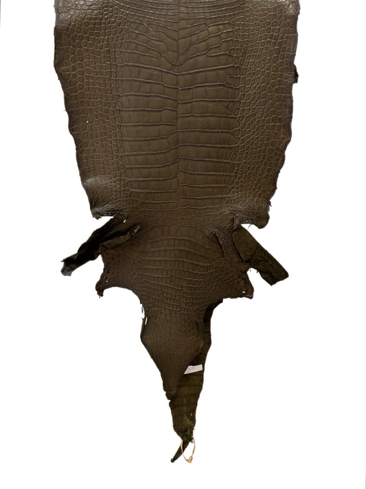45 cm Grade 3/4 Olive Matte Wild American Alligator Leather - Tag: LA23-0017368