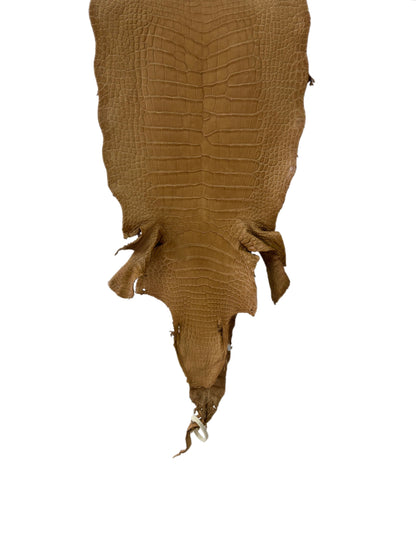 35 cm Grade 3/4 Antique Saddle Matte Wild American Alligator Leather - Tag: LA23-0001988