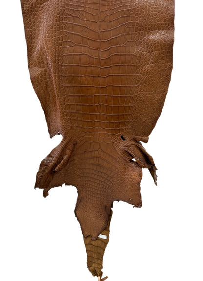 46 cm Grade 3/4 Kango Tabac Matte Wild American Alligator Leather - Tag: LA23-0022887