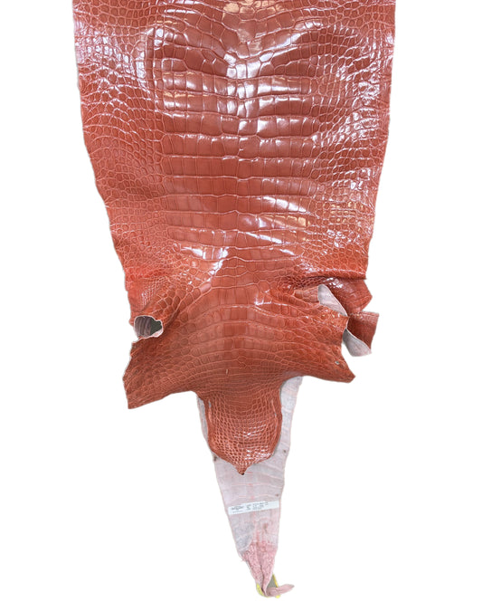 41 cm Grade 2/3 Apricot Glazed Wild American Alligator Leather - Tag: LA19-0034537