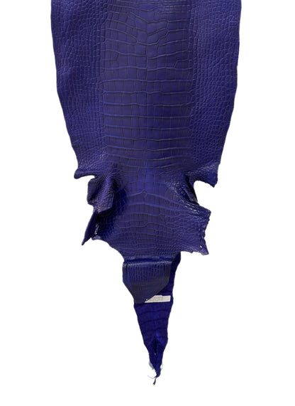 43 cm Grade 2/3 Cobalt Blue Matte Wild American Alligator Leather - Tag: LA23-0016343