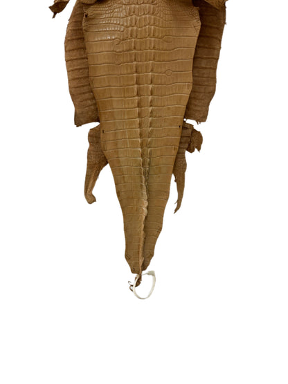 30 cm Grade 1/2 Antique Saddle Matte Farm-Raised American Alligator Hornback Leather - Tag: LA23-0377041