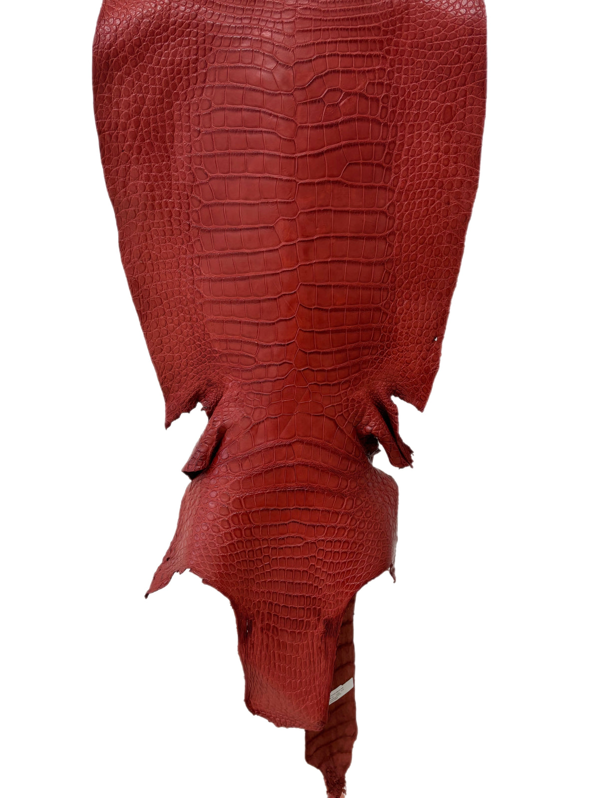 48 cm Grade 2/3 Marziale Matte Wild American Alligator Leather - Tag: LA23-0002750