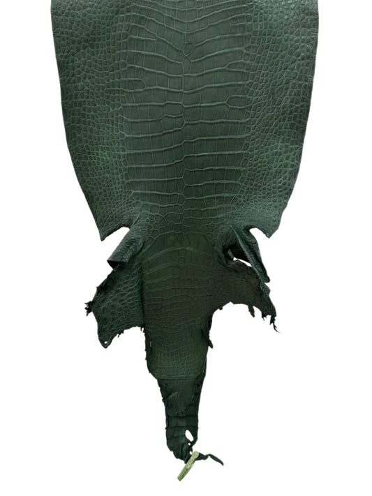 39 cm Grade 2/3 Forest Green Matte Wild American Alligator Leather - Tag: LA23-0004343