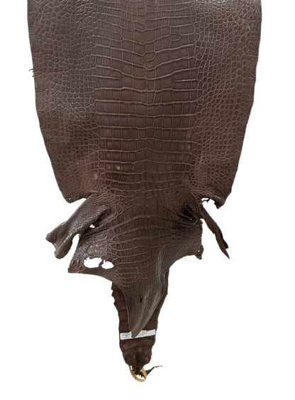 49 cm Grade 3/4 Chocolate Matte Wild American Alligator Leather - Tag: LA23-0015383