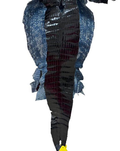 24 cm Grade 2/3 Navy Blue Glazed Wild American Alligator Leather - Tag: LA15-0031909
