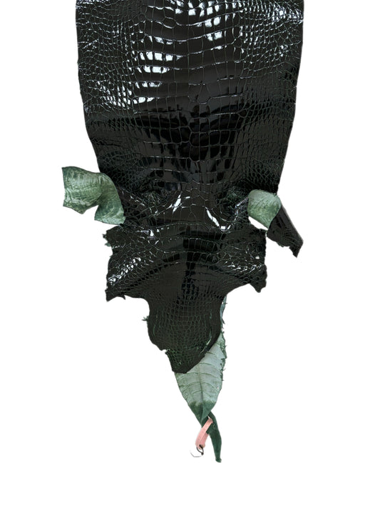 31 cm Grade 1/2 Forest Green Glazed Wild American Alligator Leather - Tag: LA18-0037337