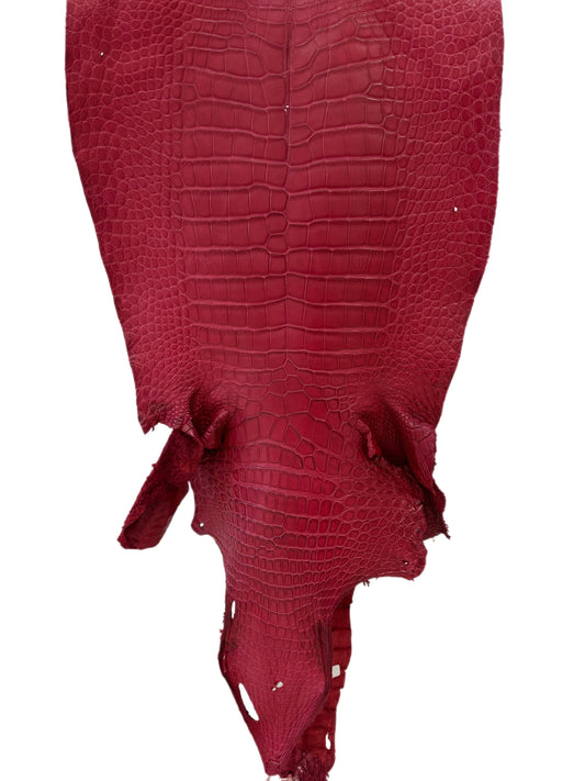 41 cm Grade 2/3 Scarlet Matte Wild American Alligator Leather - Tag: LA23-0048243