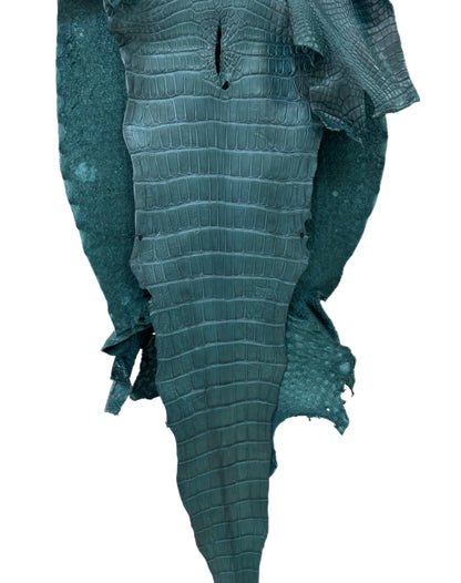 43 cm Grade 3/4 Teal Matte Wild American Alligator Leather - Tag: LA23-0003549