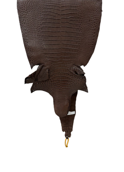 34 cm Grade 1 Chocolate Matte Farm-Raised American Alligator Leather - Tag: FL16-0031681