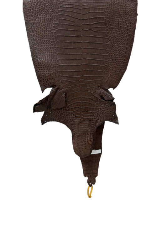 34 cm Grade 1 Chocolate Matte Farm-Raised American Alligator Leather - Tag: FL16-0031681