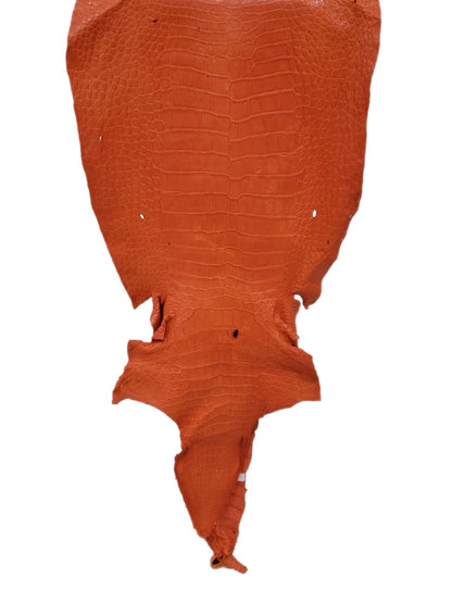 51 cm Grade 4/5 Orange Primavera Matte Wild American Alligator Leather - Tag: LA23-0003063