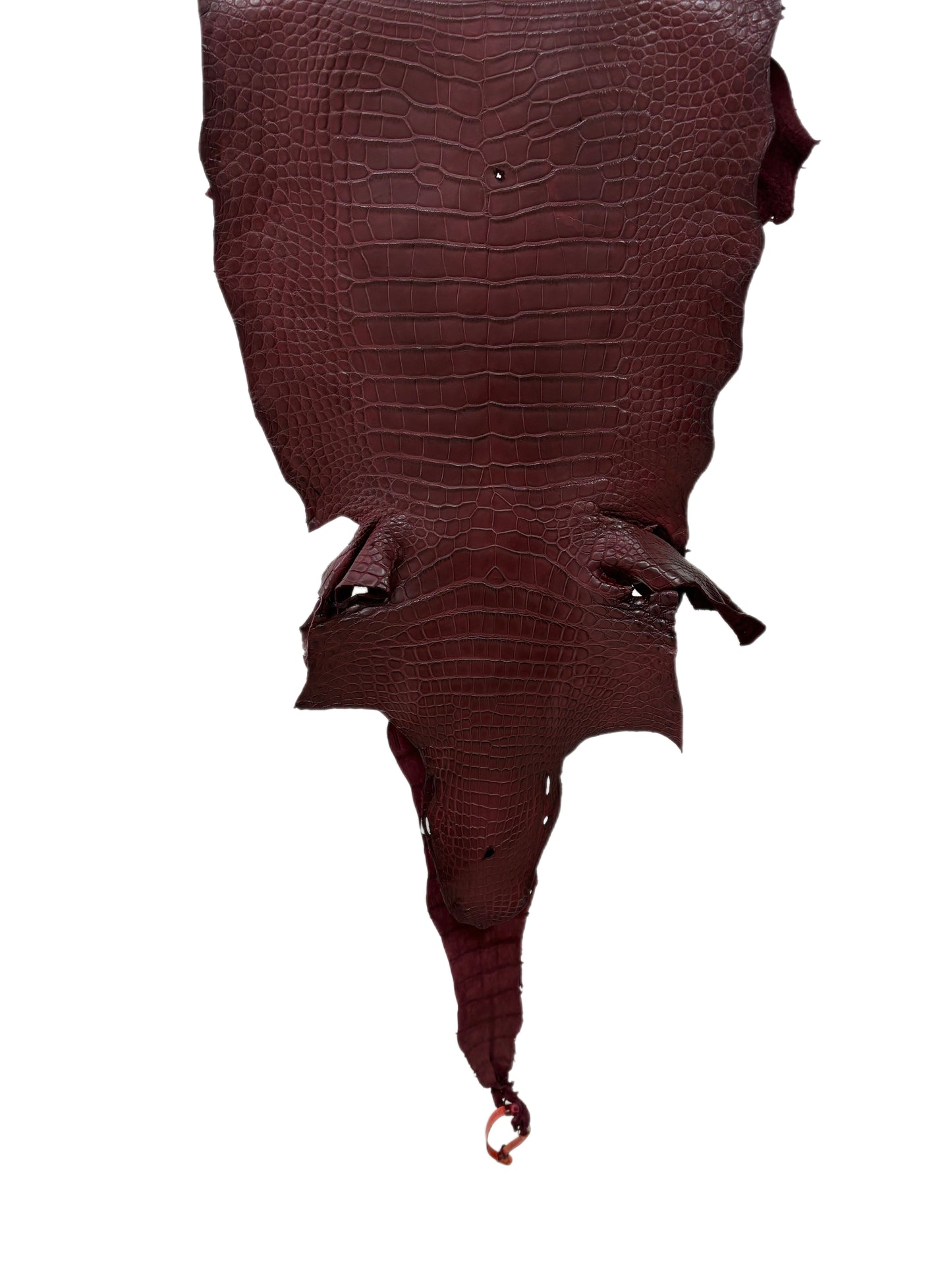38 cm Grade 2/3 Bordeaux Matte Wild American Alligator Leather - Tag: LA19-0036988