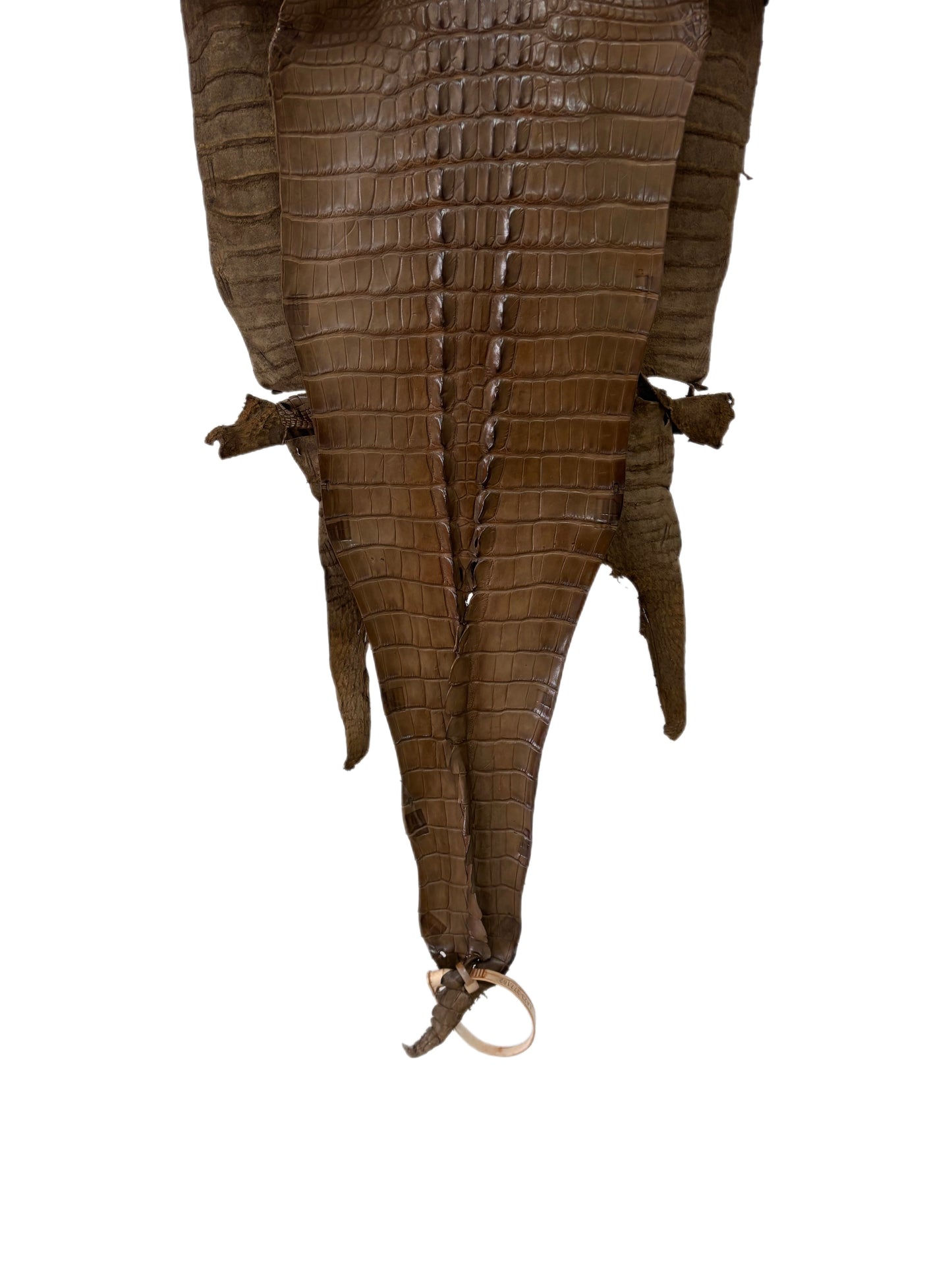 31 cm Grade 1/2 Mink Matte Farm-Raised American Alligator Hornback Leather - Tag: LA23-0377162