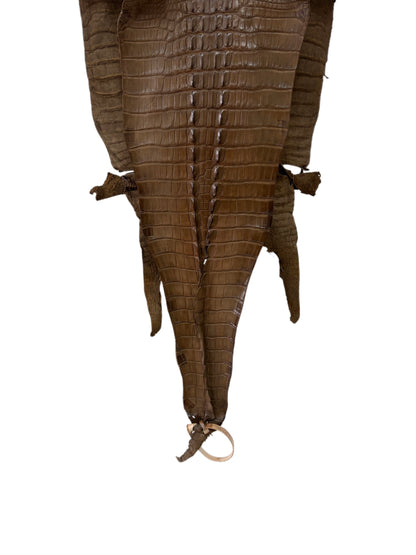 31 cm Grade 1/2 Mink Matte Farm-Raised American Alligator Hornback Leather - Tag: LA23-0377162