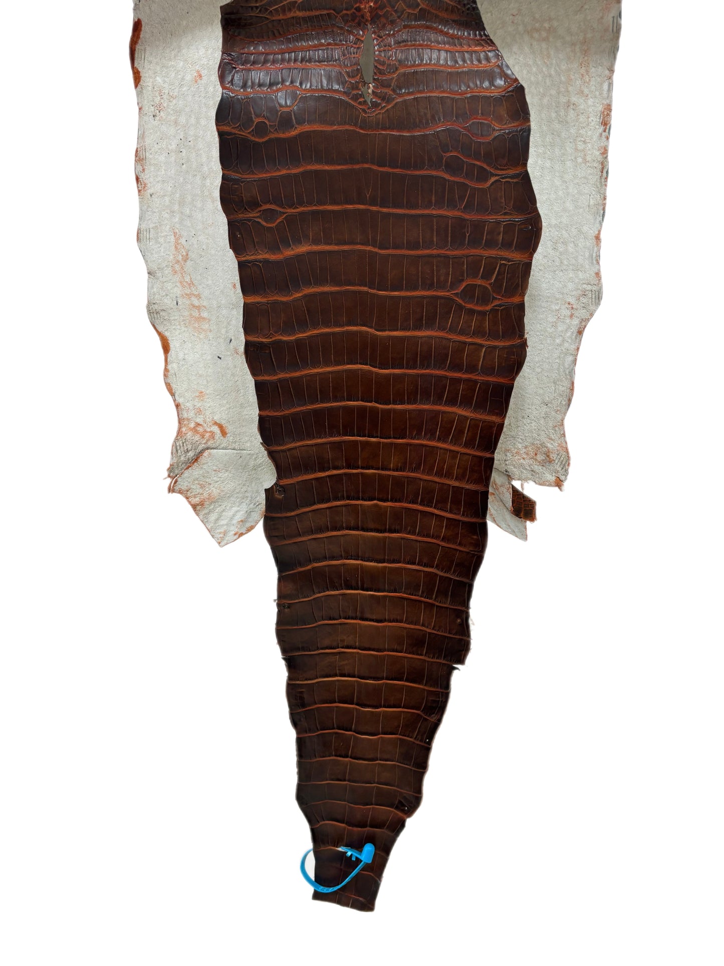 38 cm Grade 1/2 Sienna Matte Wild American Alligator Leather - Tag: ESRE-0050835