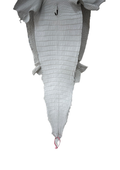 34 cm Grade 2/3 White Matte Farm-Raised American Alligator Leather - Tag: FL21-0024149