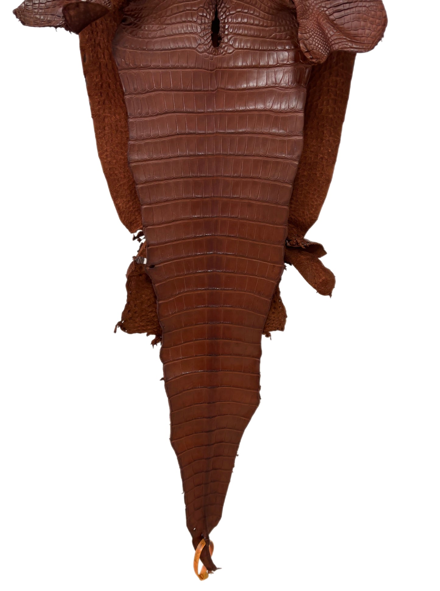 32 cm Grade 2/3 Rodeo Matte Farm-Raised American Alligator Leather - Tag: FL17-0036412